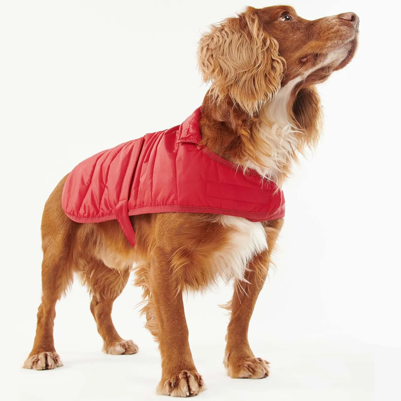 Barbour Baffle Quilt Dog Coat