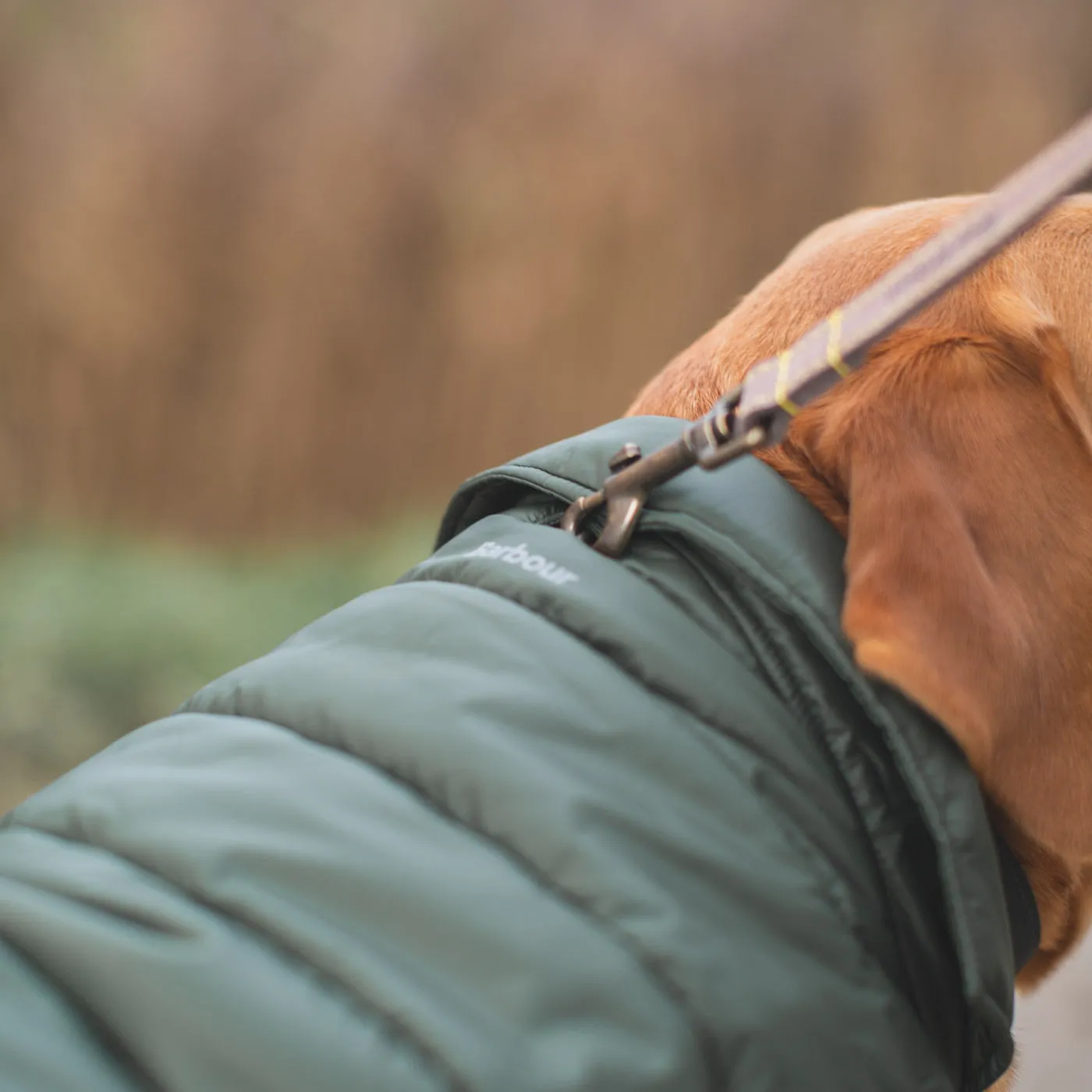 Barbour Baffle Quilt Dog Coat