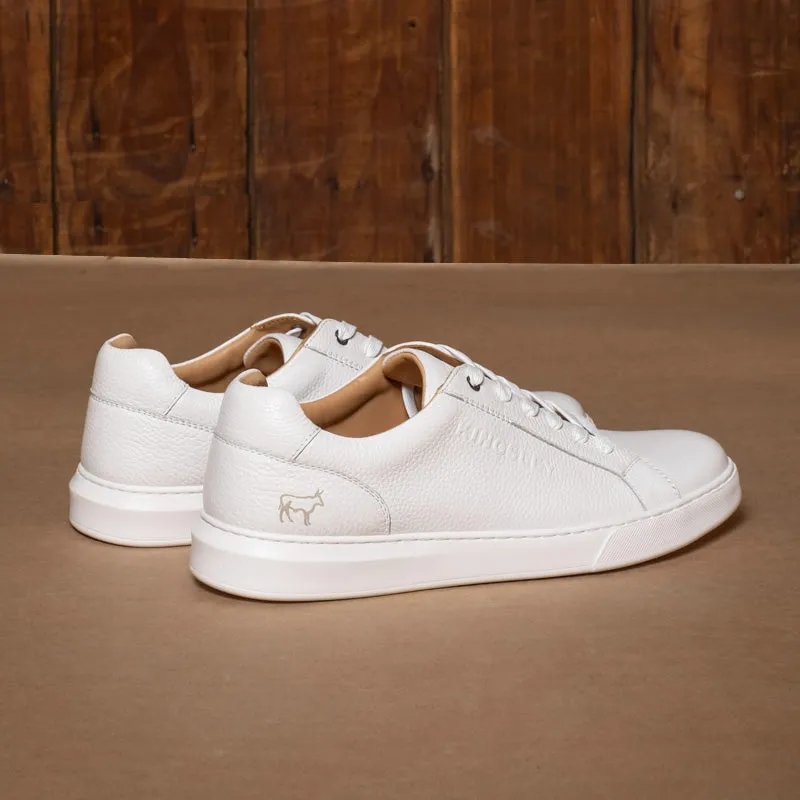 Kingsley Heath S Bold Kingsley Logo Sneaker White/White