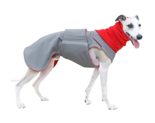 WHIPPET/GREYHOUND WINTER DOG COAT   NECK WARMER / MADE TO ORDER